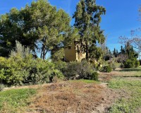 Resale - Country House - Daya Vieja
