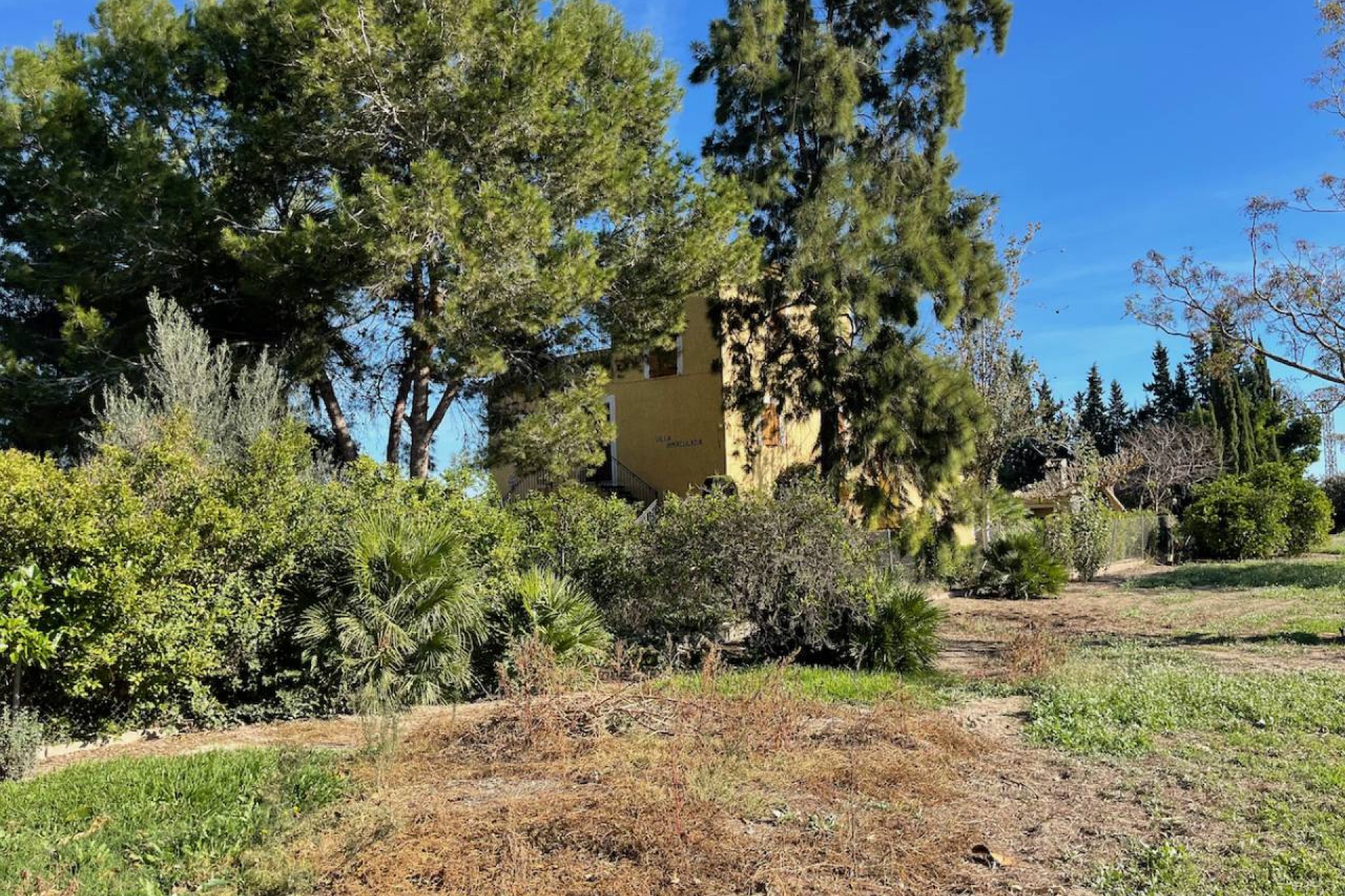 Resale - Country House - Daya Vieja