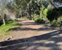 Resale - Country House - Daya Vieja