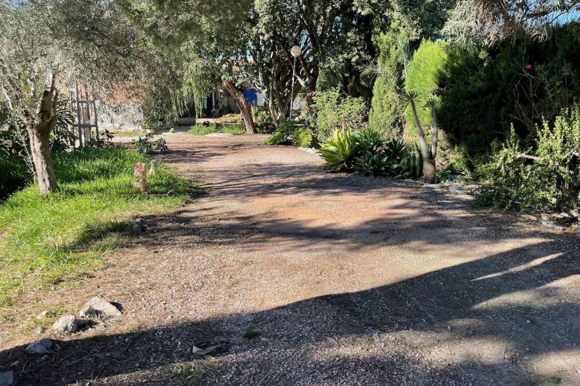 Resale - Country House - Daya Vieja