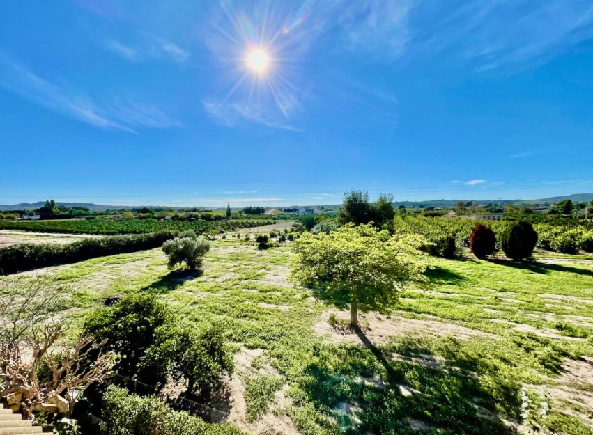 Resale - Country House - Daya Vieja