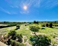 Resale - Country House - Daya Vieja