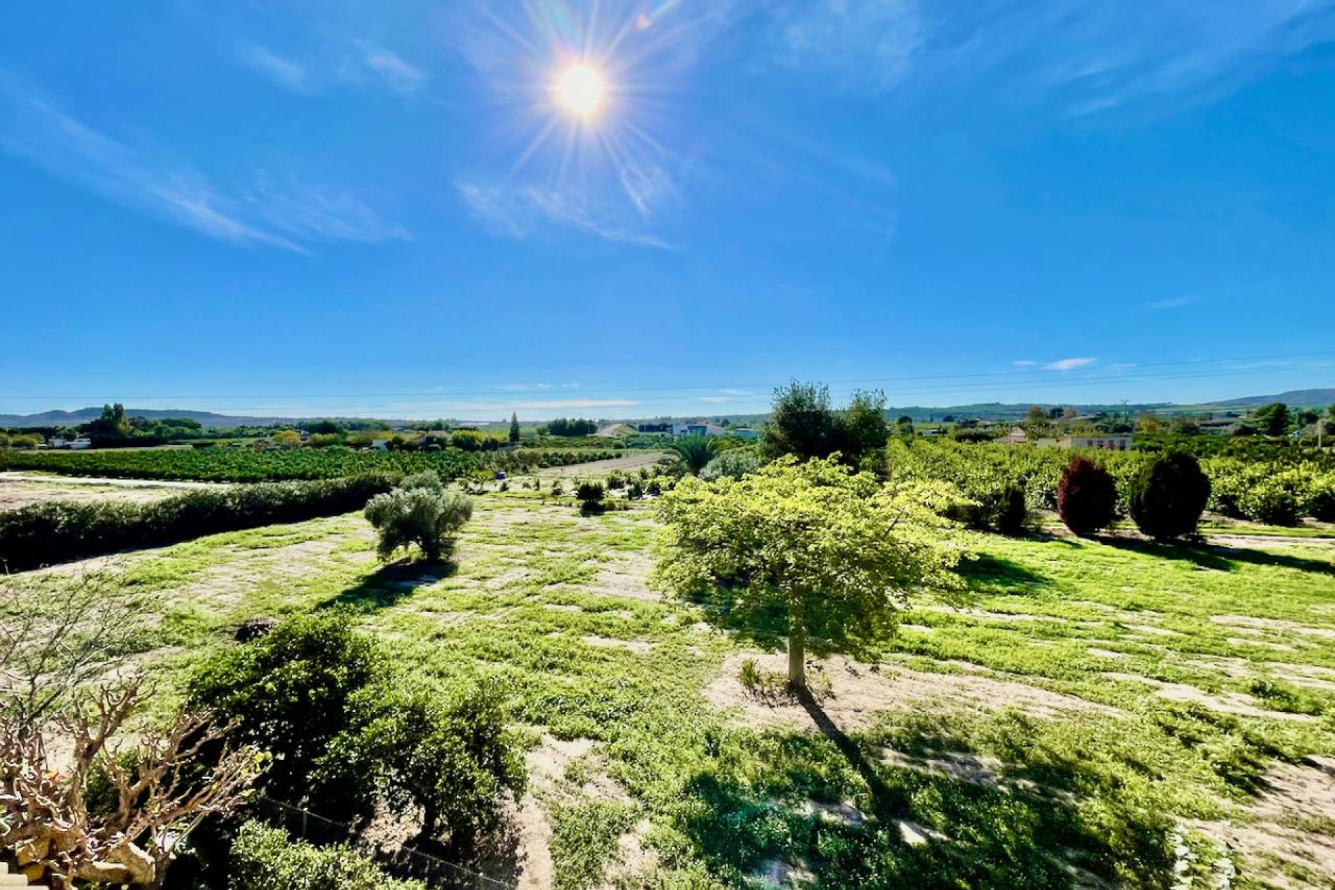 Resale - Country House - Daya Vieja
