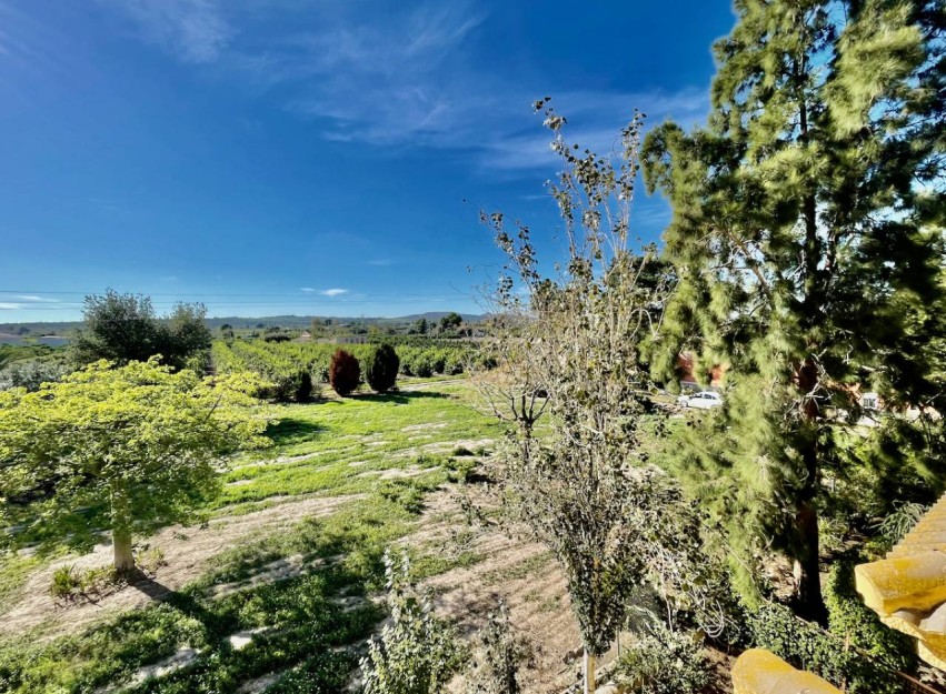 Resale - Country House - Daya Vieja