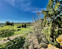 Resale - Country House - Daya Vieja