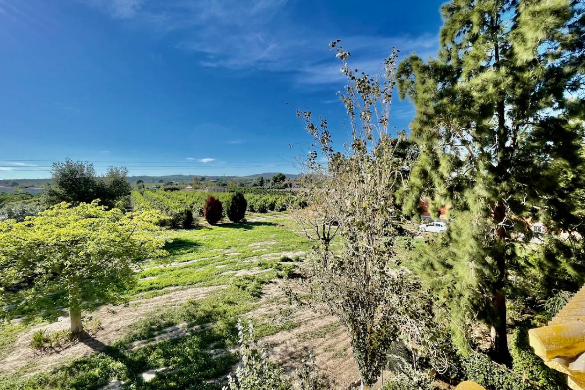 Resale - Country House - Daya Vieja