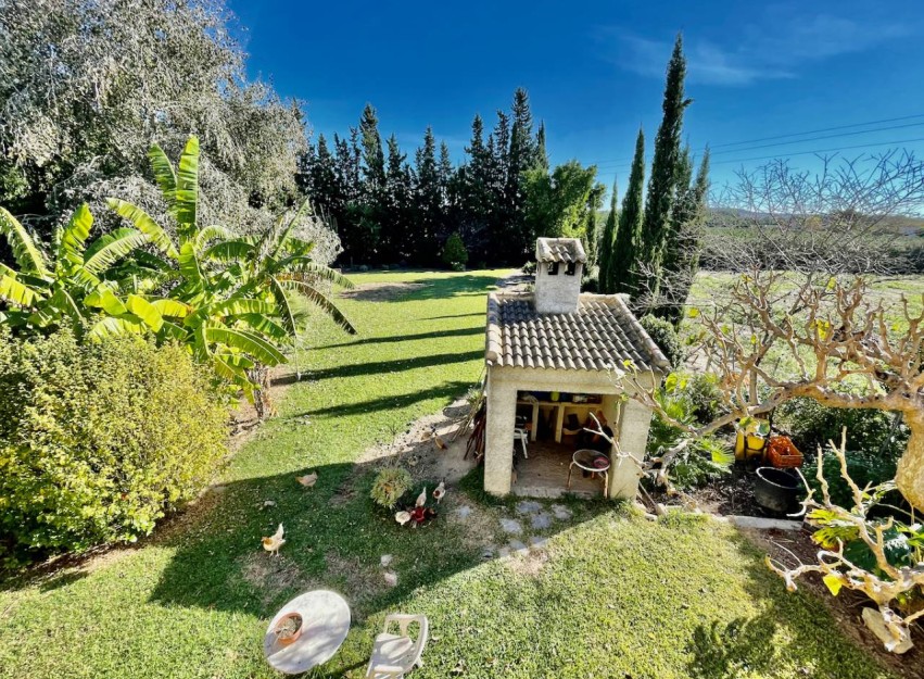 Resale - Country House - Daya Vieja
