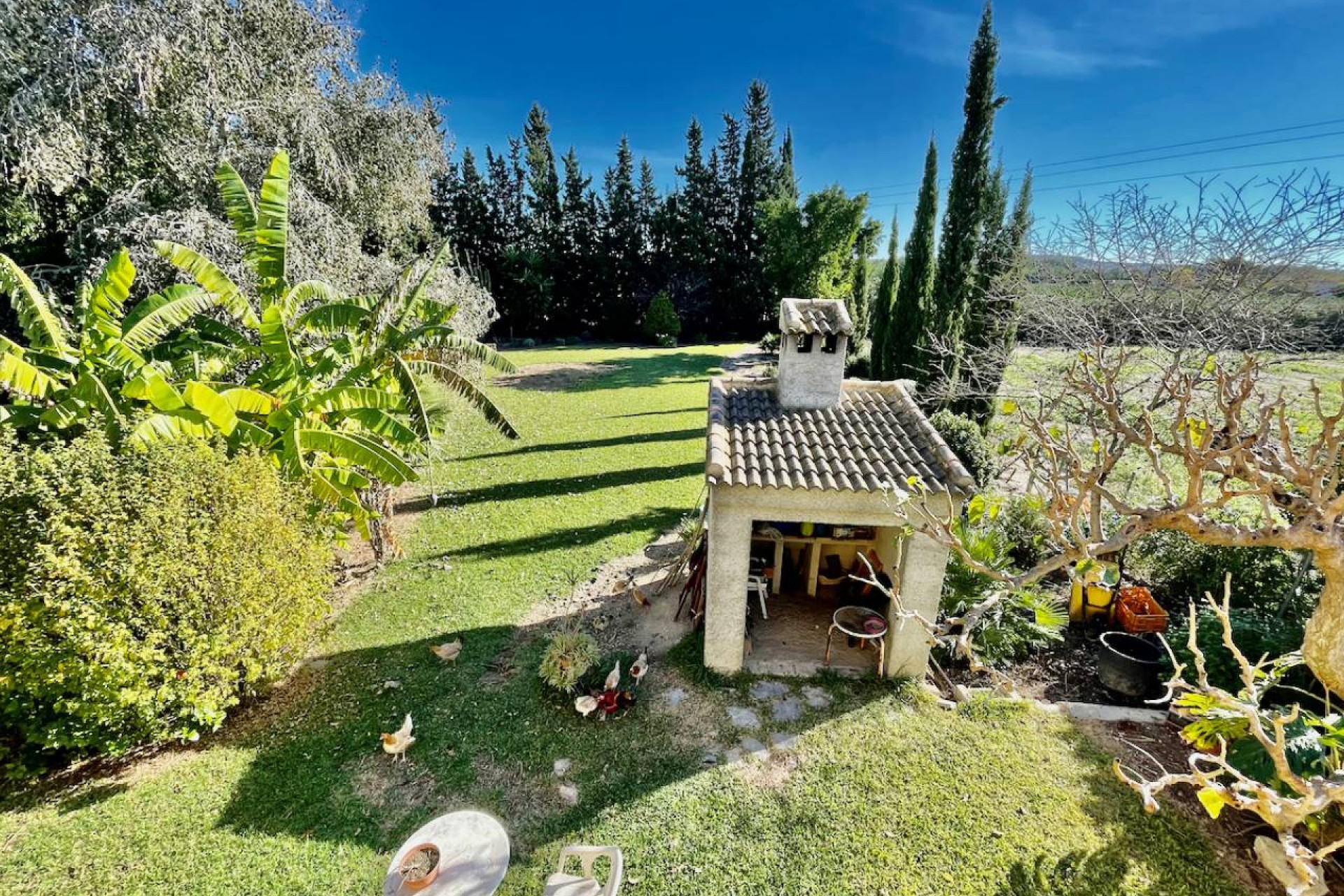 Resale - Country House - Daya Vieja