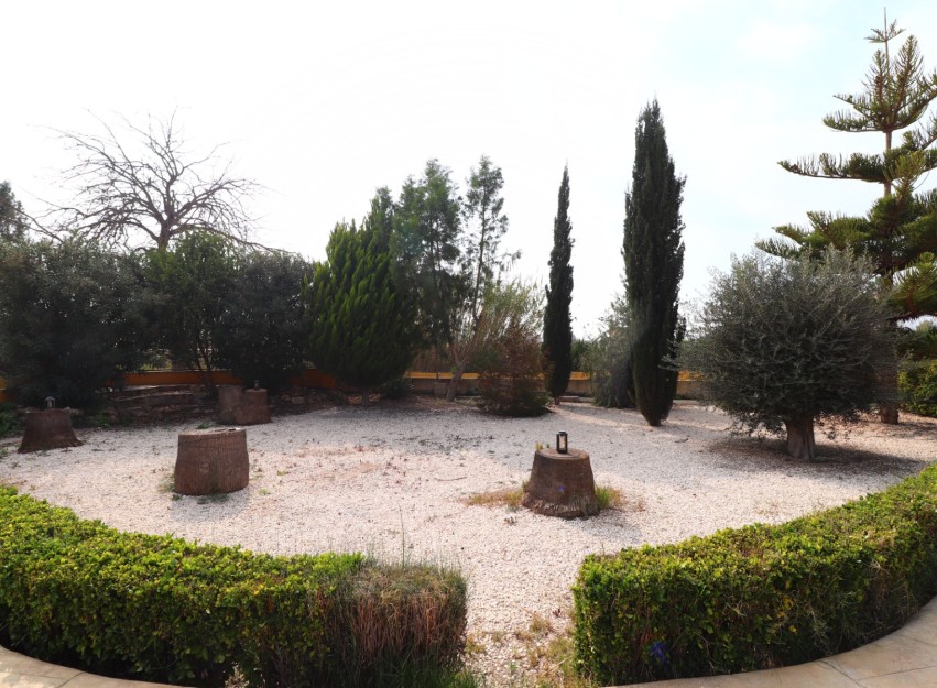 Resale - Country House - Daya Vieja