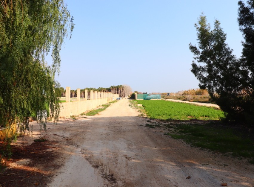 Resale - Country House - Daya Vieja