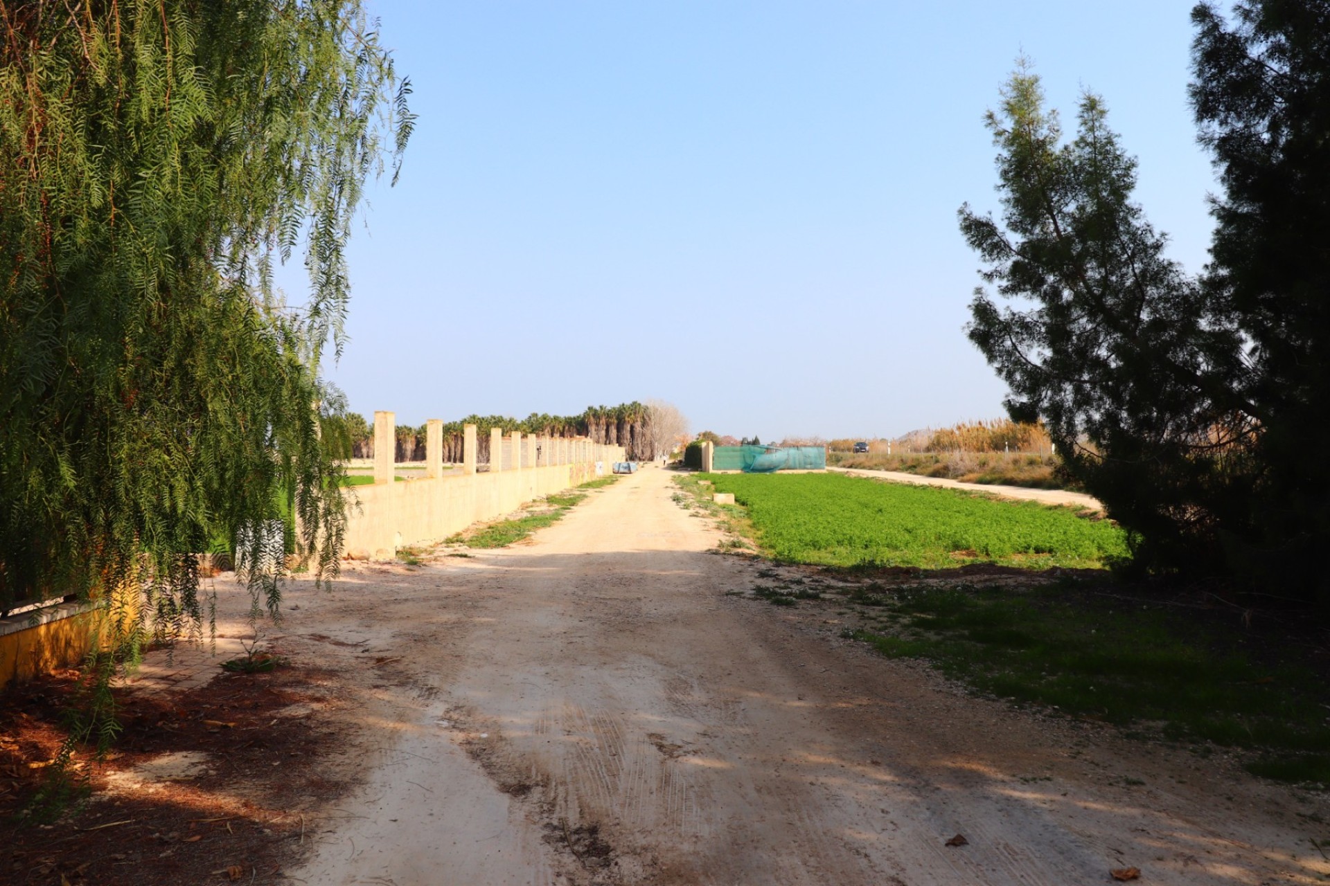 Resale - Country House - Daya Vieja