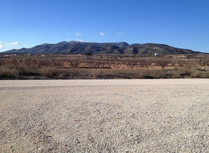 Resale - Country House - Pinoso