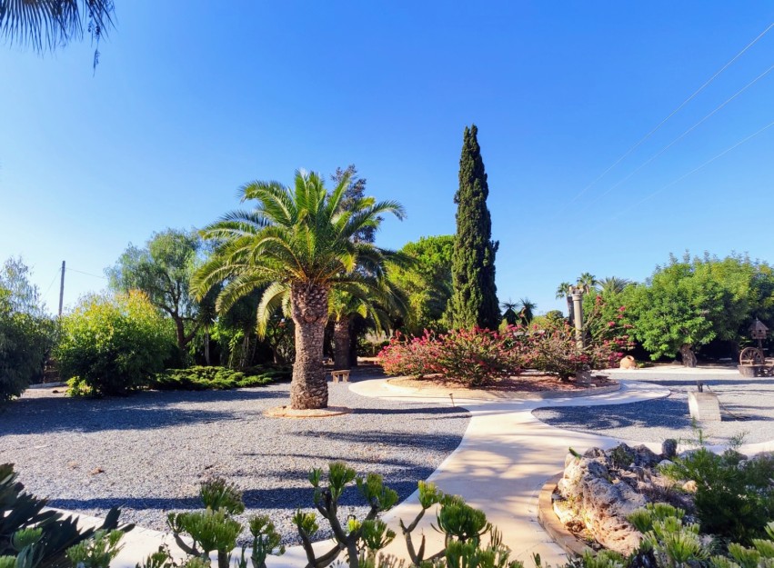Resale - Country House - San Miguel de Salinas