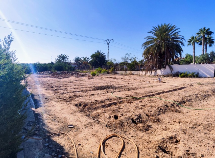 Resale - Country House - San Miguel de Salinas
