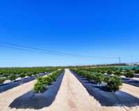 Resale - Country House - San Miguel de Salinas