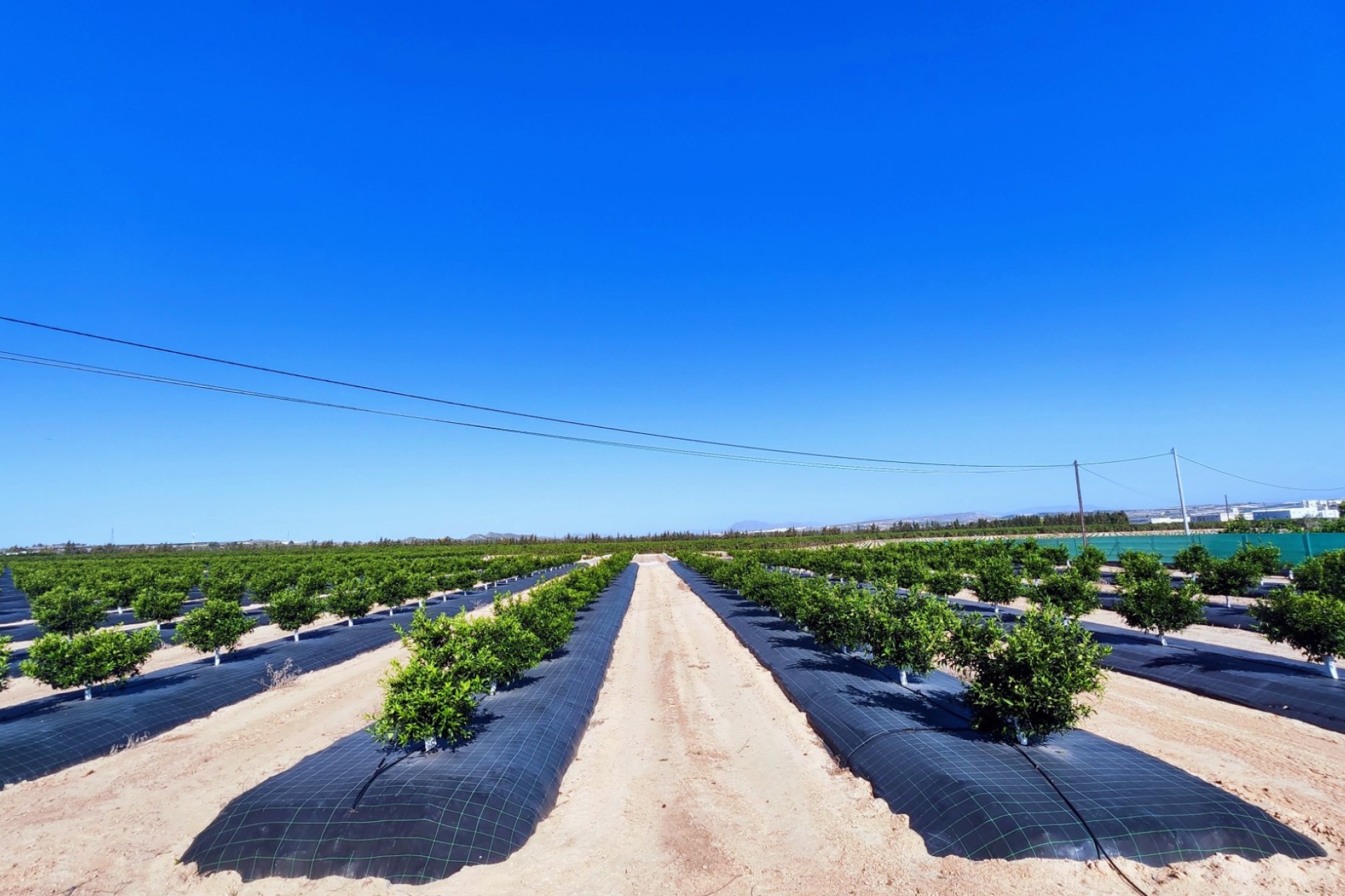 Resale - Country House - San Miguel de Salinas