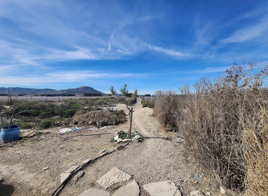 Resale - Country House - Villena