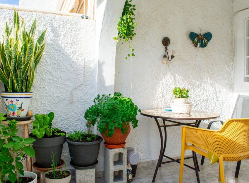 Resale - Townhouse - Guardamar del Segura - Urbanizaciones