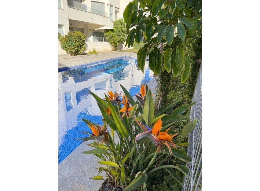 Resale - Townhouse - Torrevieja - El Acequión - Los Náufragos