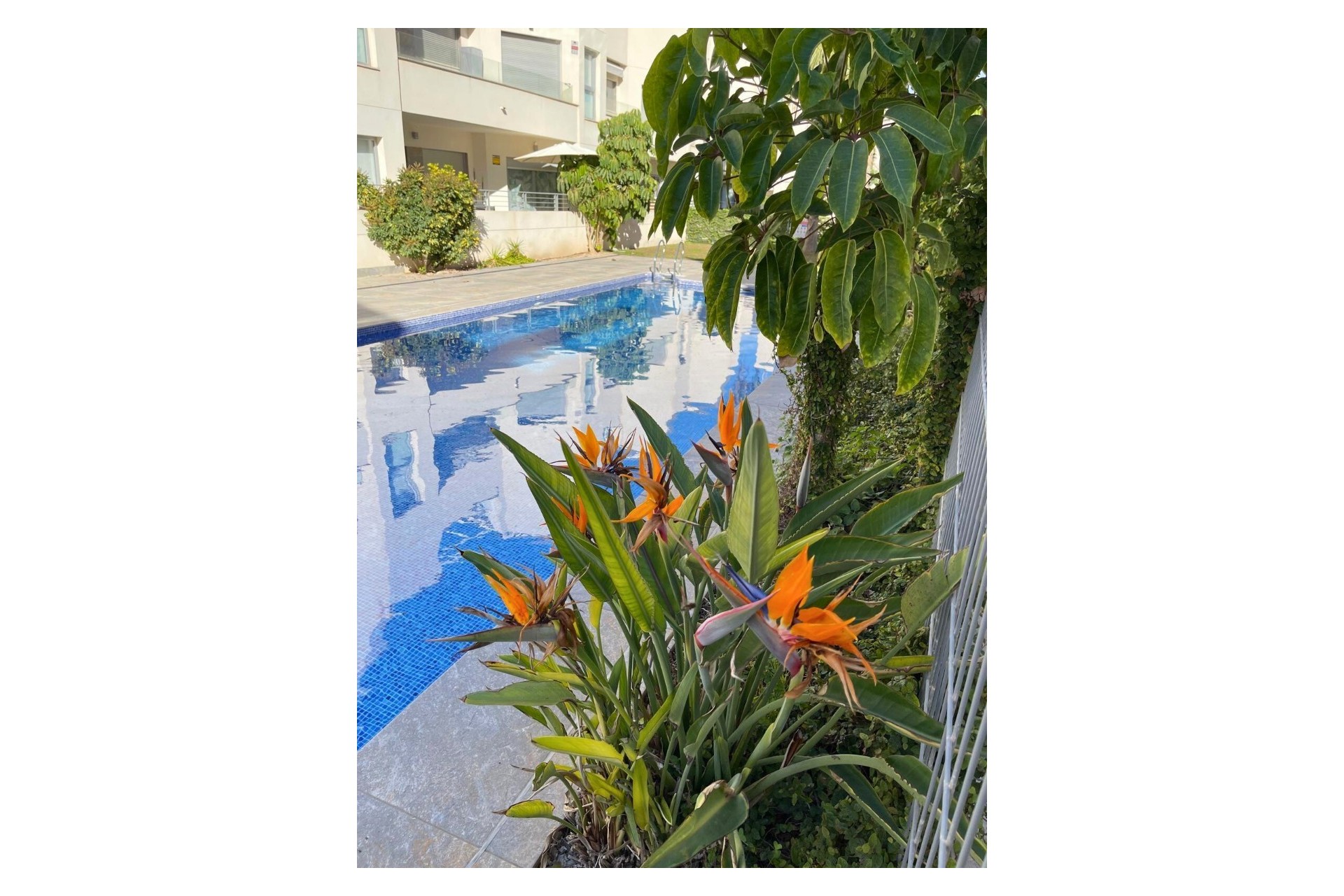Resale - Townhouse - Torrevieja - El Acequión - Los Náufragos