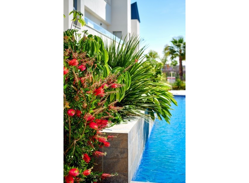 Resale - Townhouse - Torrevieja - El Acequión - Los Náufragos