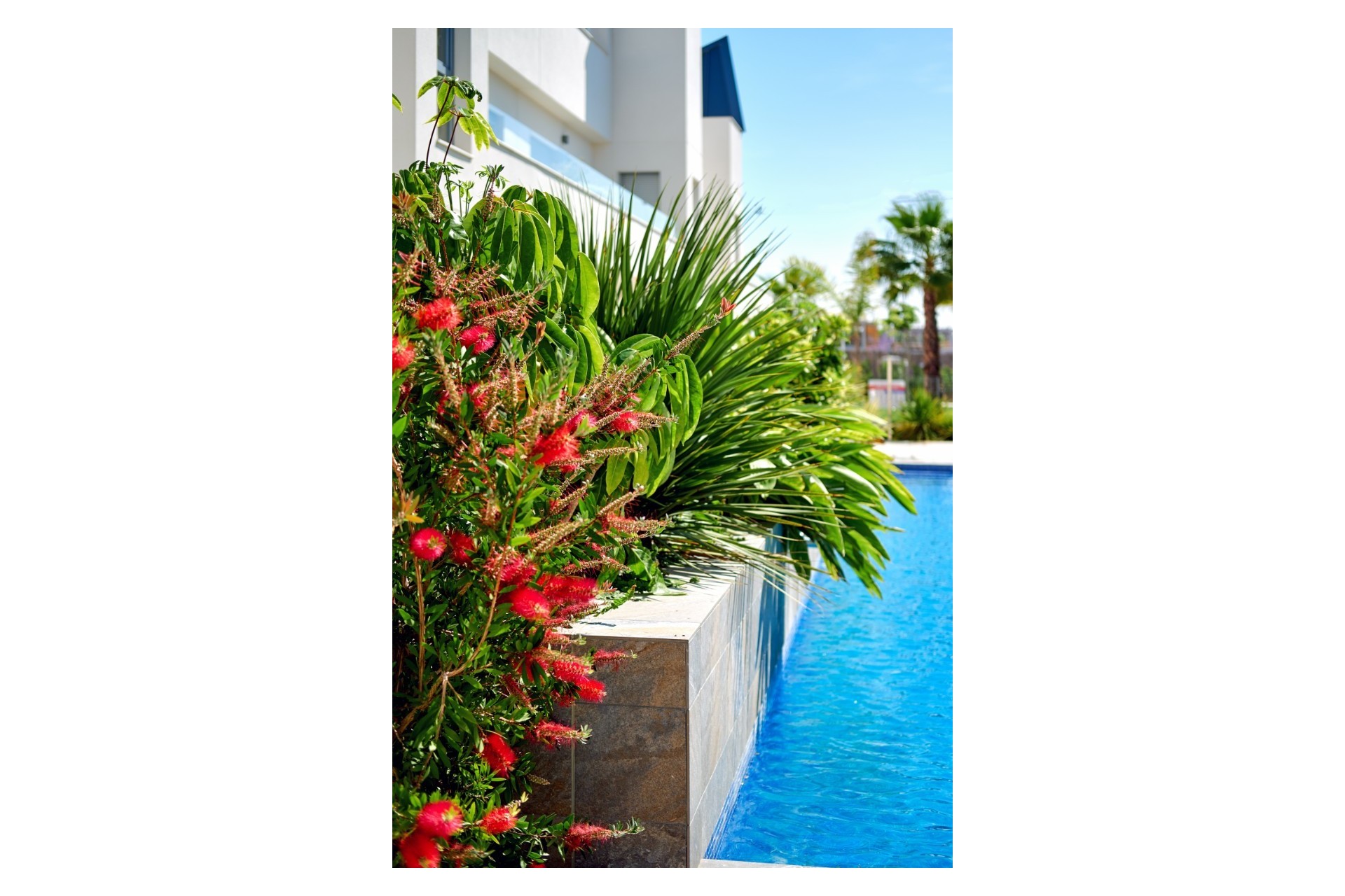 Resale - Townhouse - Torrevieja - El Acequión - Los Náufragos