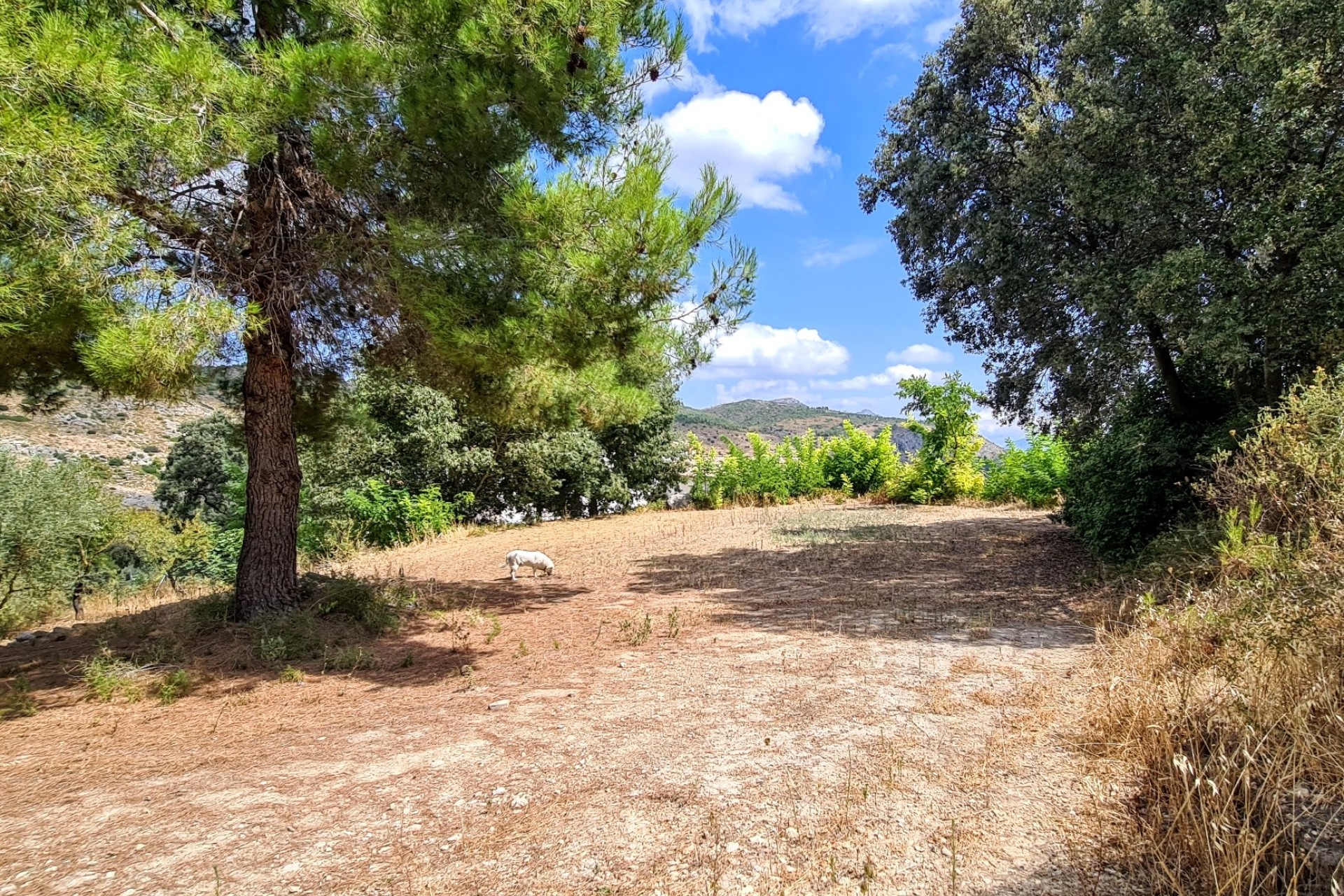 Resale - Villa - Alcoy - Muro de Alcoy