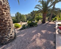 Resale - Villa - Algorfa - Lomas de La Juliana