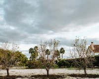 Resale - Villa - Catral