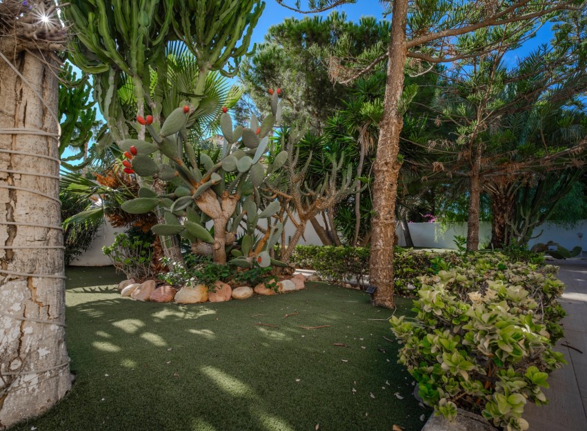 Resale - Villa - Ciudad Quesada - Doña Pepa