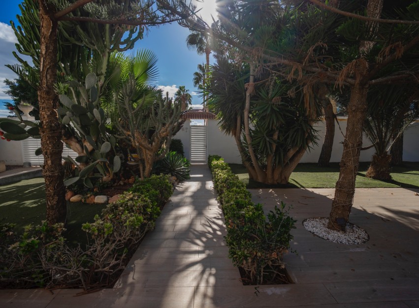 Resale - Villa - Ciudad Quesada - Doña Pepa