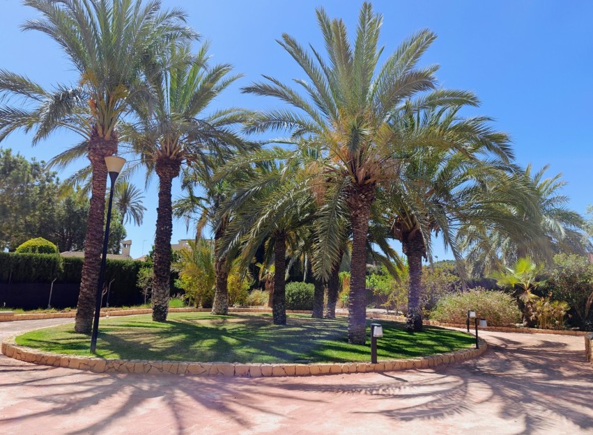 Resale - Villa - Elche