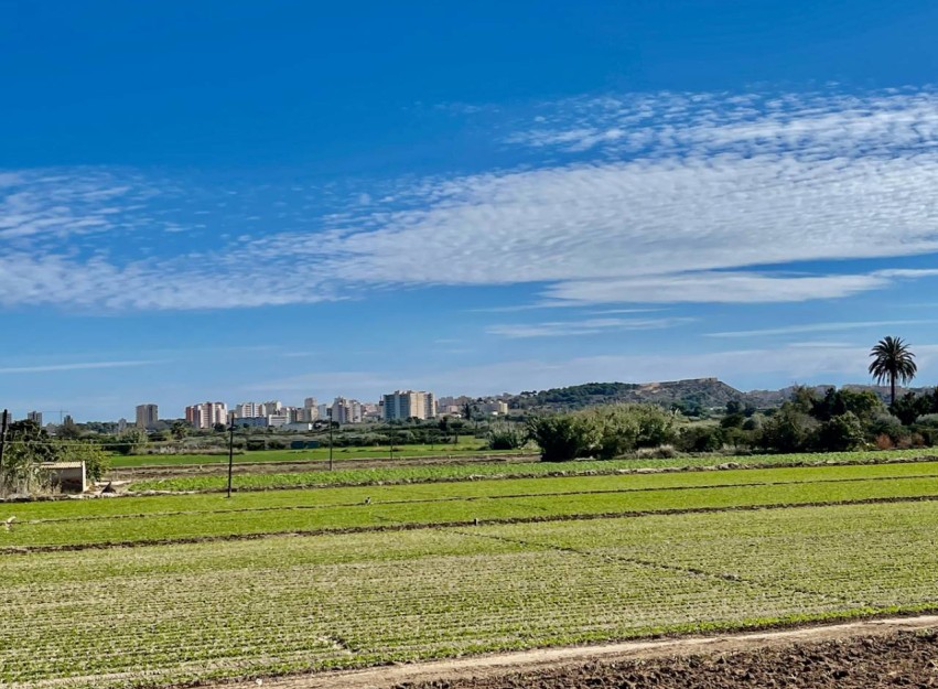 Resale - Villa - Guardamar del Segura