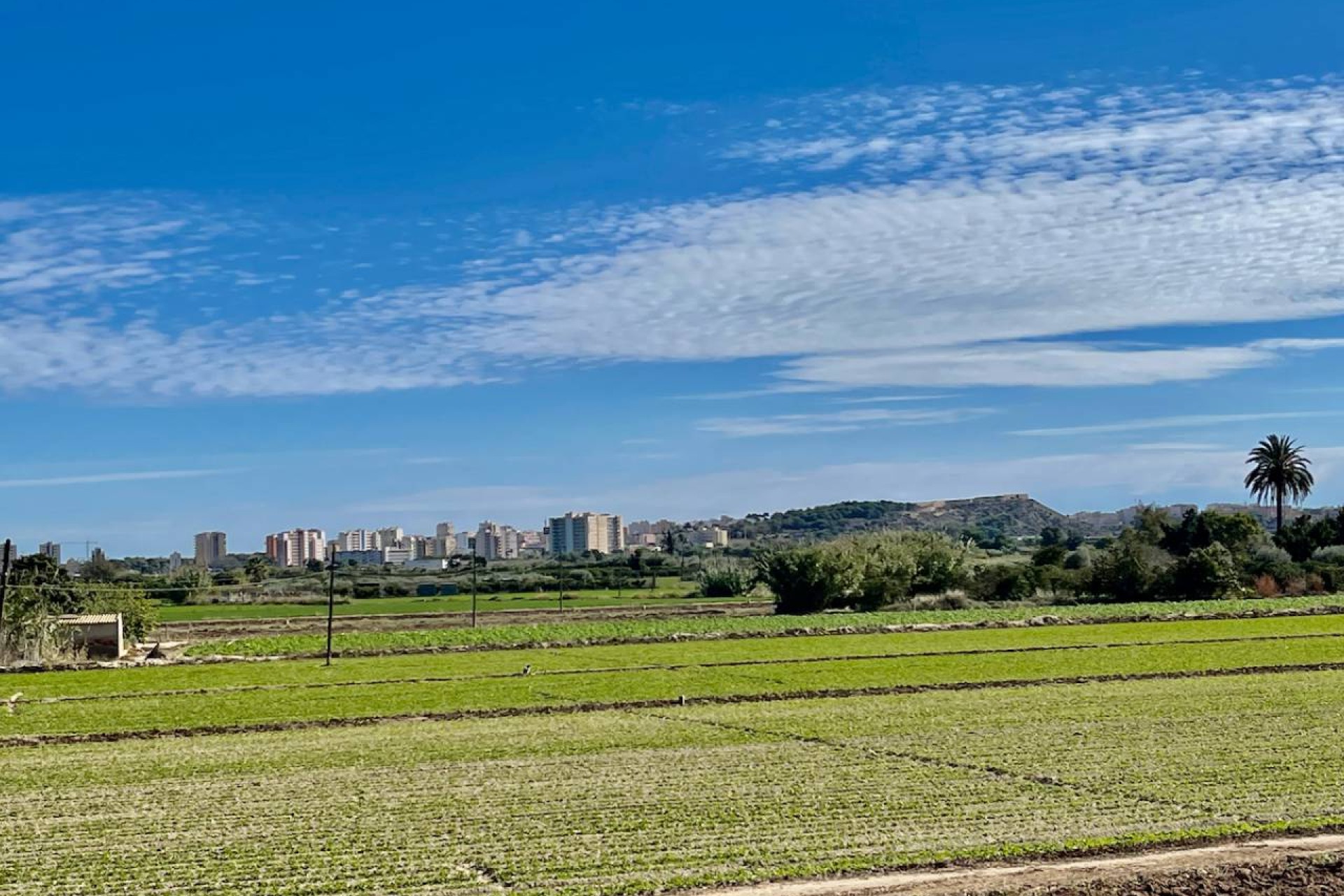 Resale - Villa - Guardamar del Segura