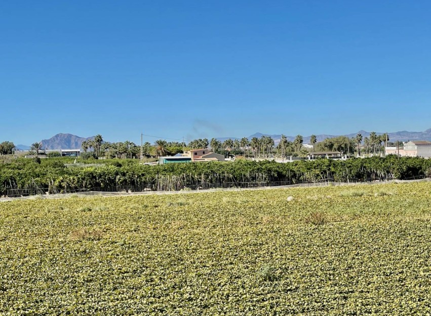 Resale - Villa - Guardamar del Segura