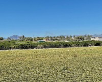 Resale - Villa - Guardamar del Segura
