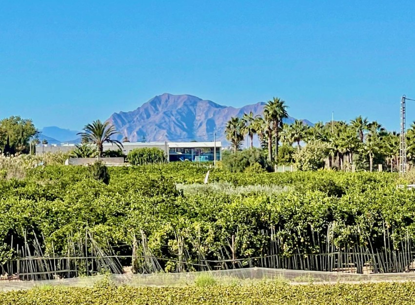 Resale - Villa - Guardamar del Segura