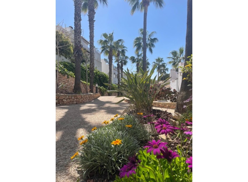 Resale - Villa - Orihuela Costa - Los Dolses