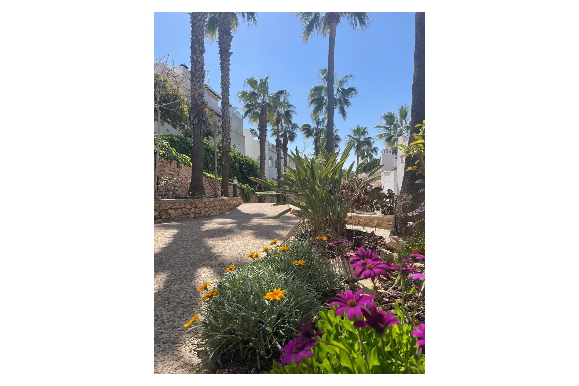 Resale - Villa - Orihuela Costa - Los Dolses
