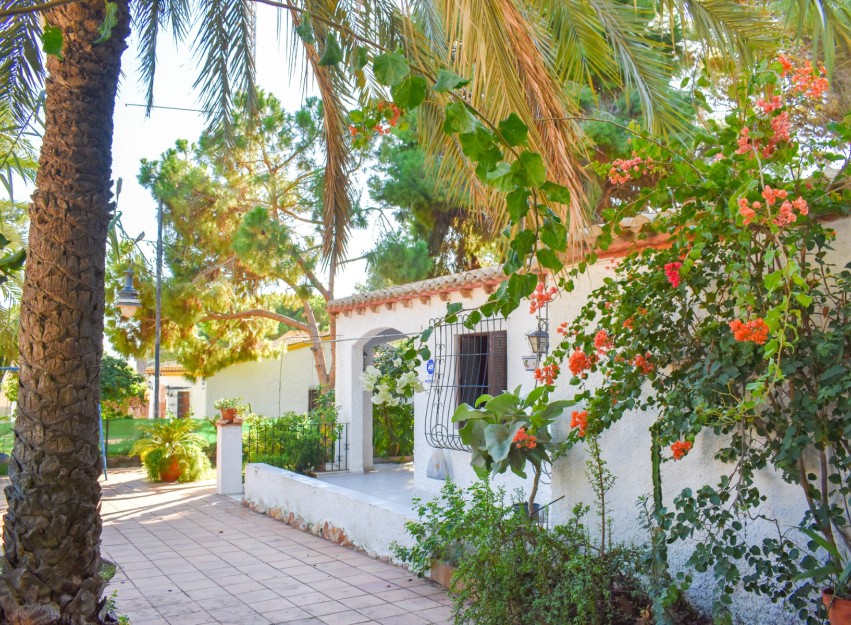 Resale - Villa - Orihuela Costa - Punta Prima