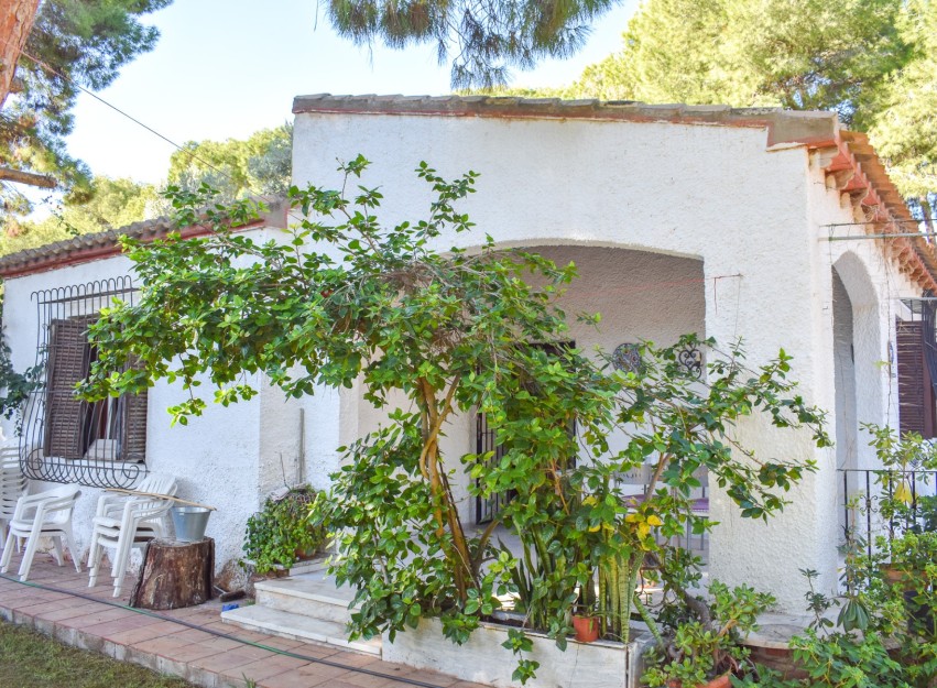 Resale - Villa - Orihuela Costa - Punta Prima