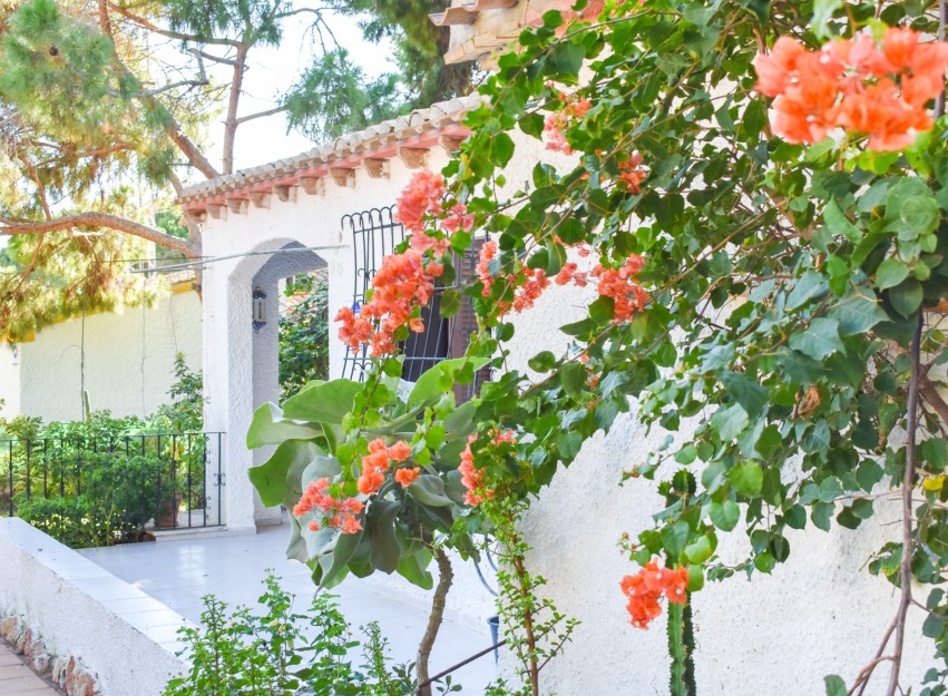 Resale - Villa - Orihuela Costa - Punta Prima