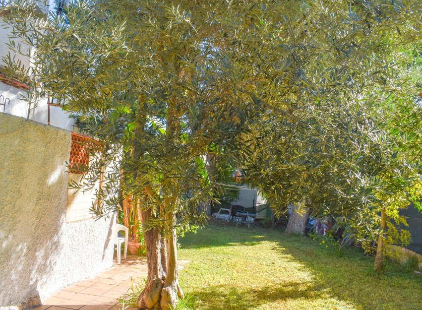 Resale - Villa - Orihuela Costa - Punta Prima