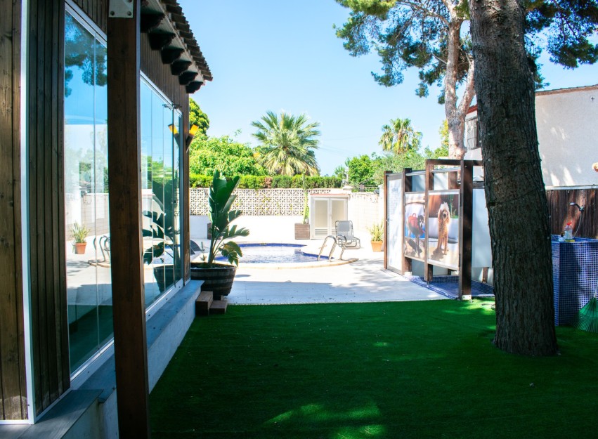 Resale - Villa - Orihuela Costa - Punta Prima