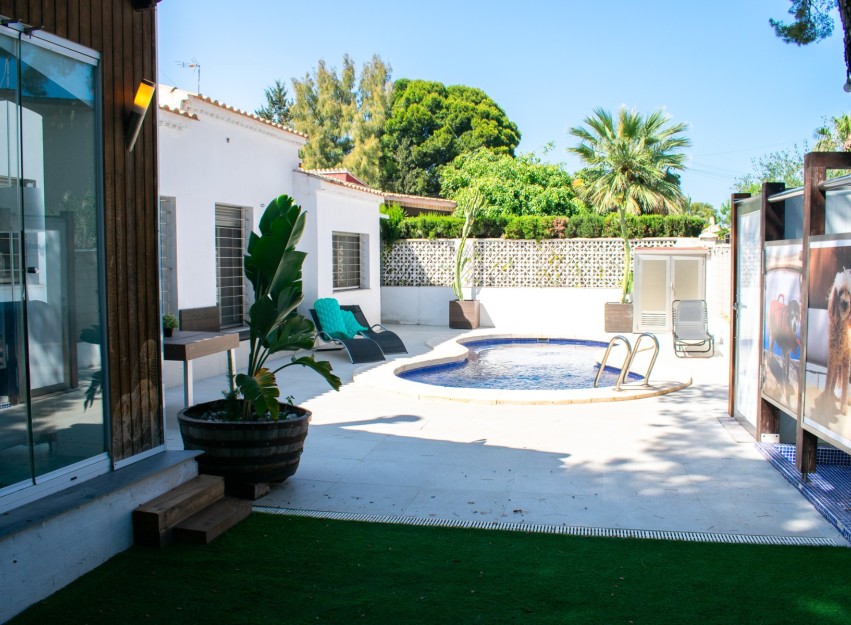Resale - Villa - Orihuela Costa - Punta Prima