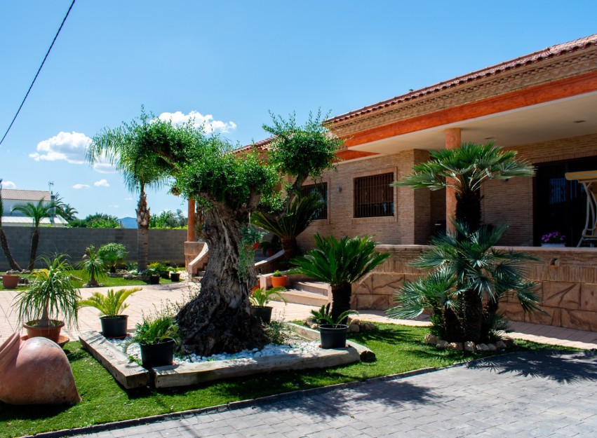 Resale - Villa - Orihuela - El raal