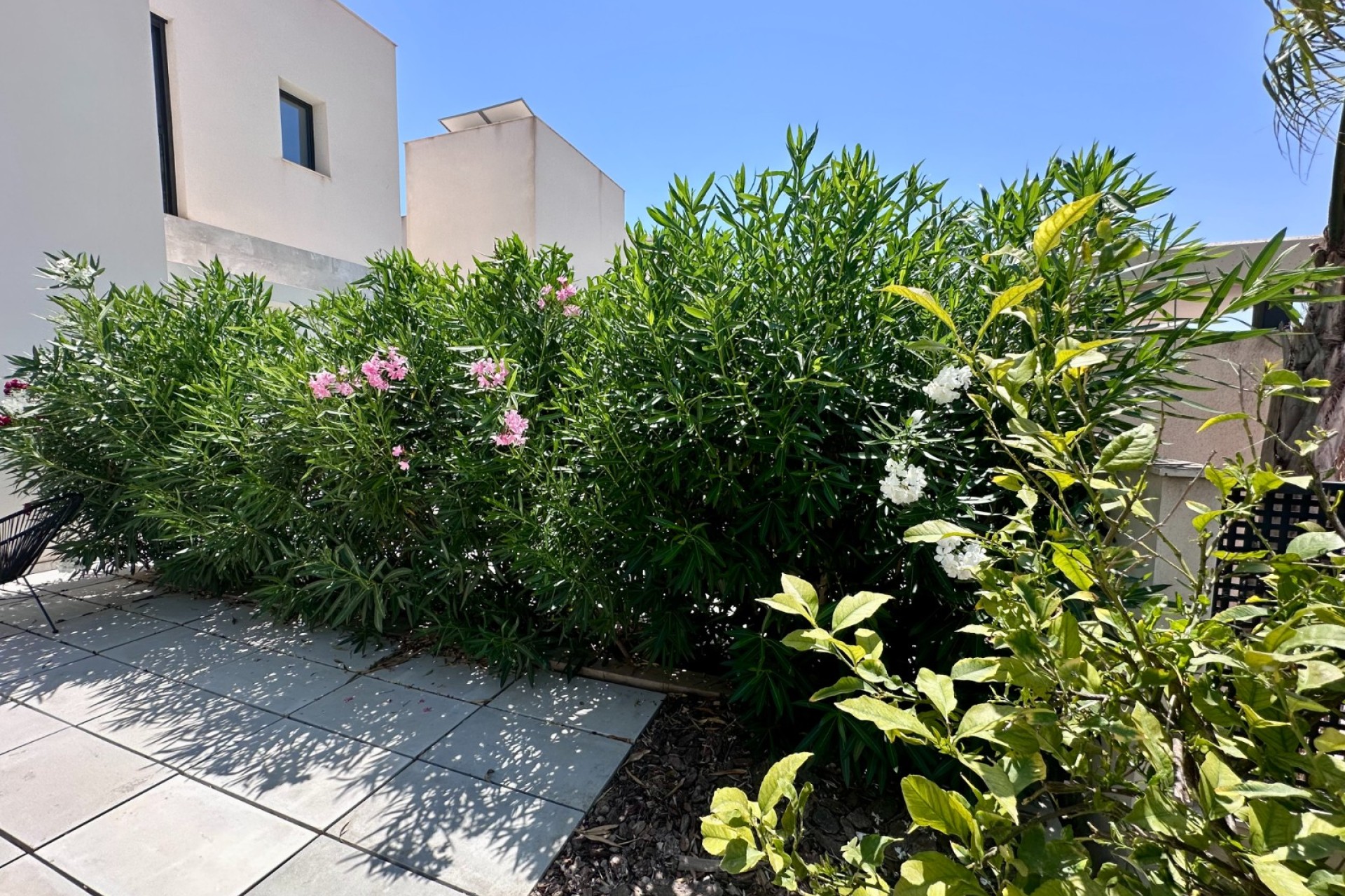Resale - Villa - Rojales