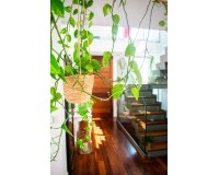 Resale - Villa - San Javier - Santiago de la Ribera
