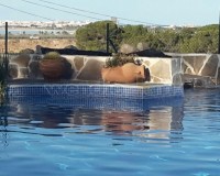 Resale - Villa - Torrevieja - Los Balcones