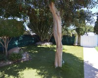 Resale - Villa - Torrevieja - Torreta